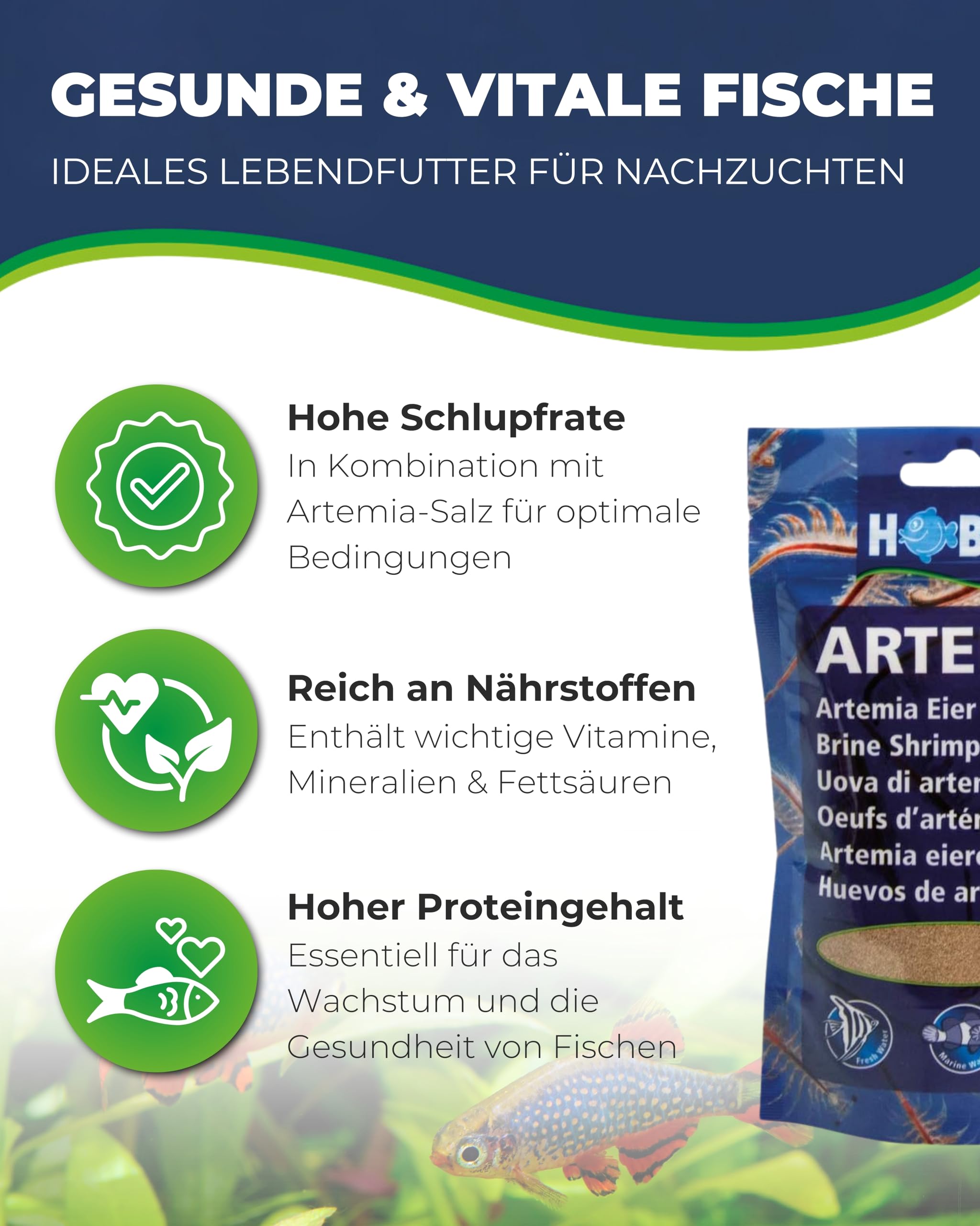 Hobby Artemia-Eier Aquarium 150 ml Aufzuchtfutter