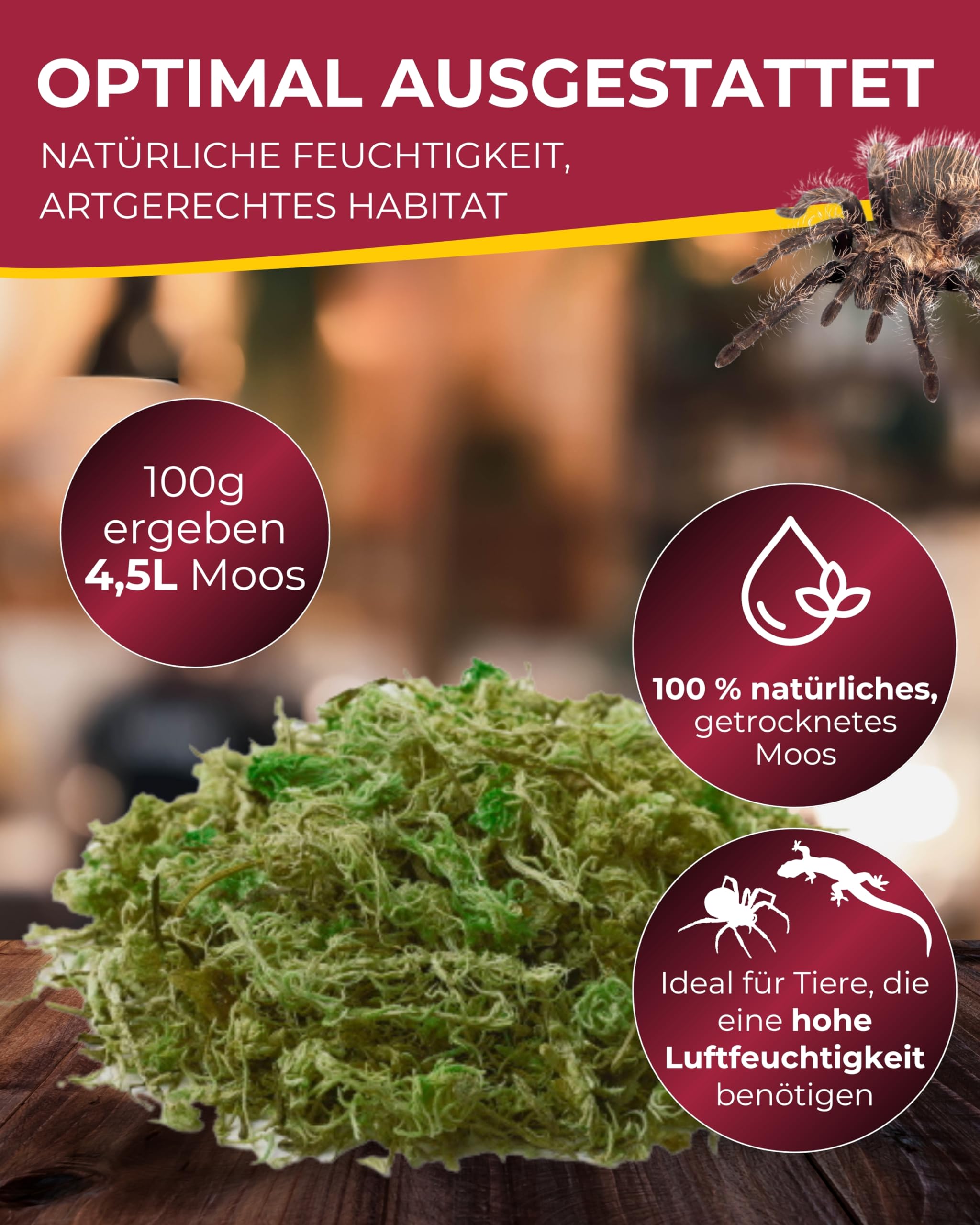 Hobby Natural Moss Terrarienmoos 100 g natürlich feuchtigkeitsbindend