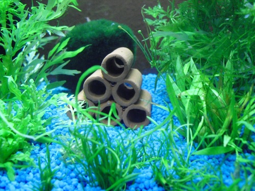 Hobby Prawn Pyramid 2-1 red Garnelenhöhle 3,5x3,5x5 cm Terrakotta