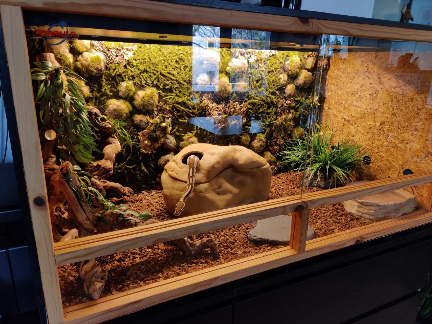 Repiterra Terrarium Rückwand Moos 116x58 cm 3D Hintergrund