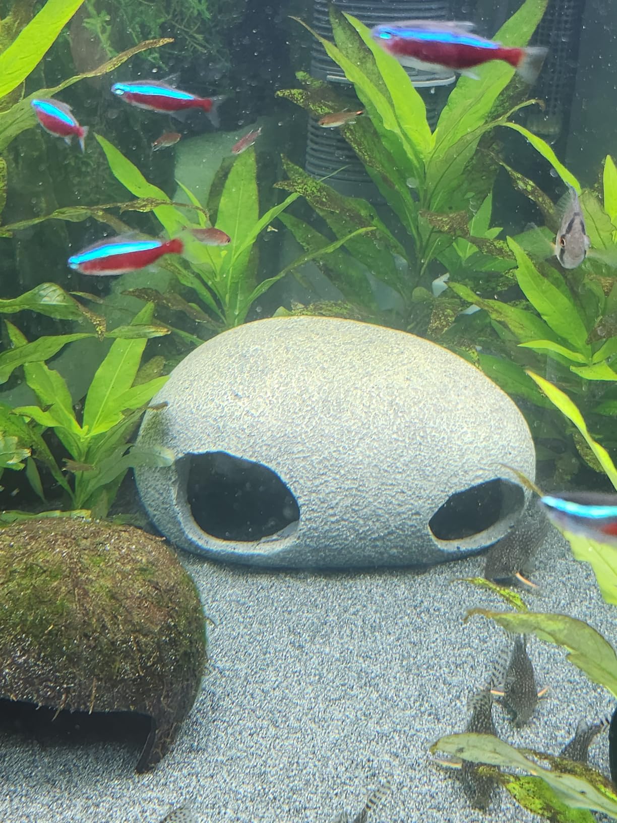Hobby Marble Cave 8 Aquariumhöhle 20x11x14,5 cm