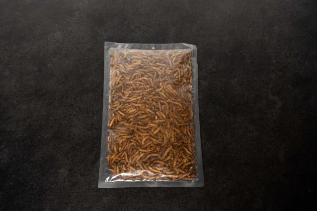 Intipa Zophobas Morio Futterinsekten 400 g proteinreich