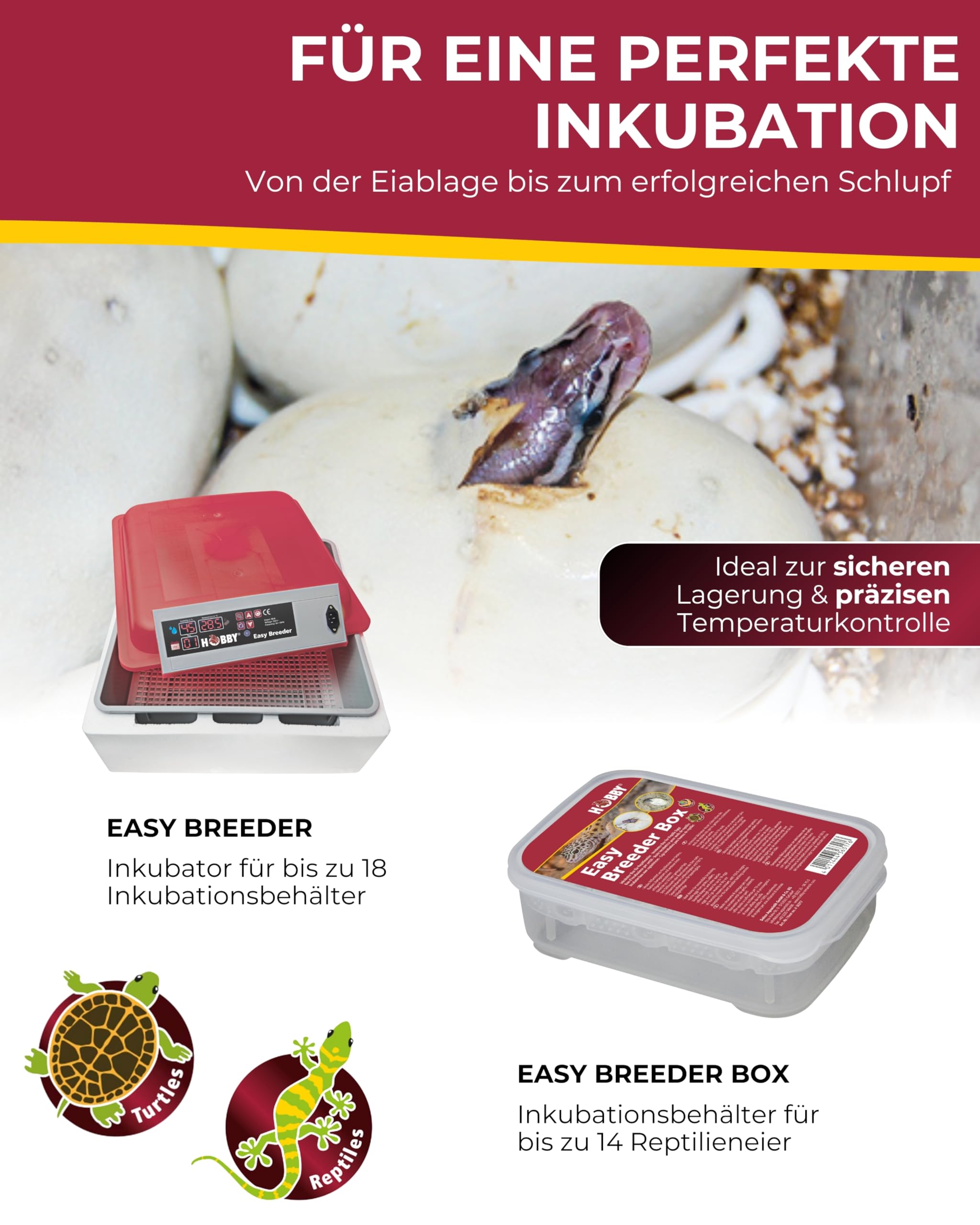 Hobby Easy Breeder Inkubator Brutkasten Reptilieneier 80W
