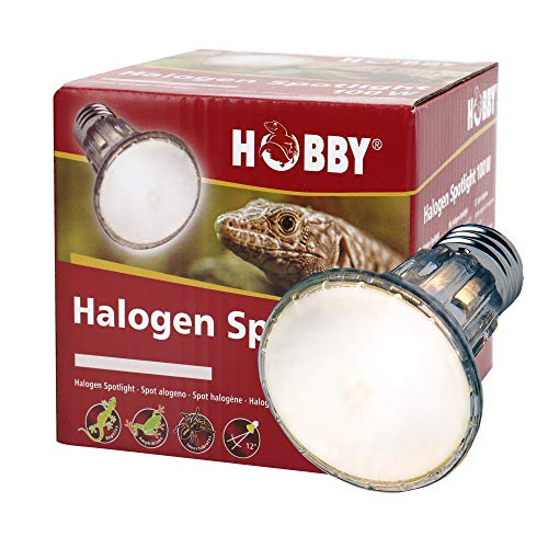Hobby Diamond 37385 Halogenstrahler 28 W Wärmespot 38°