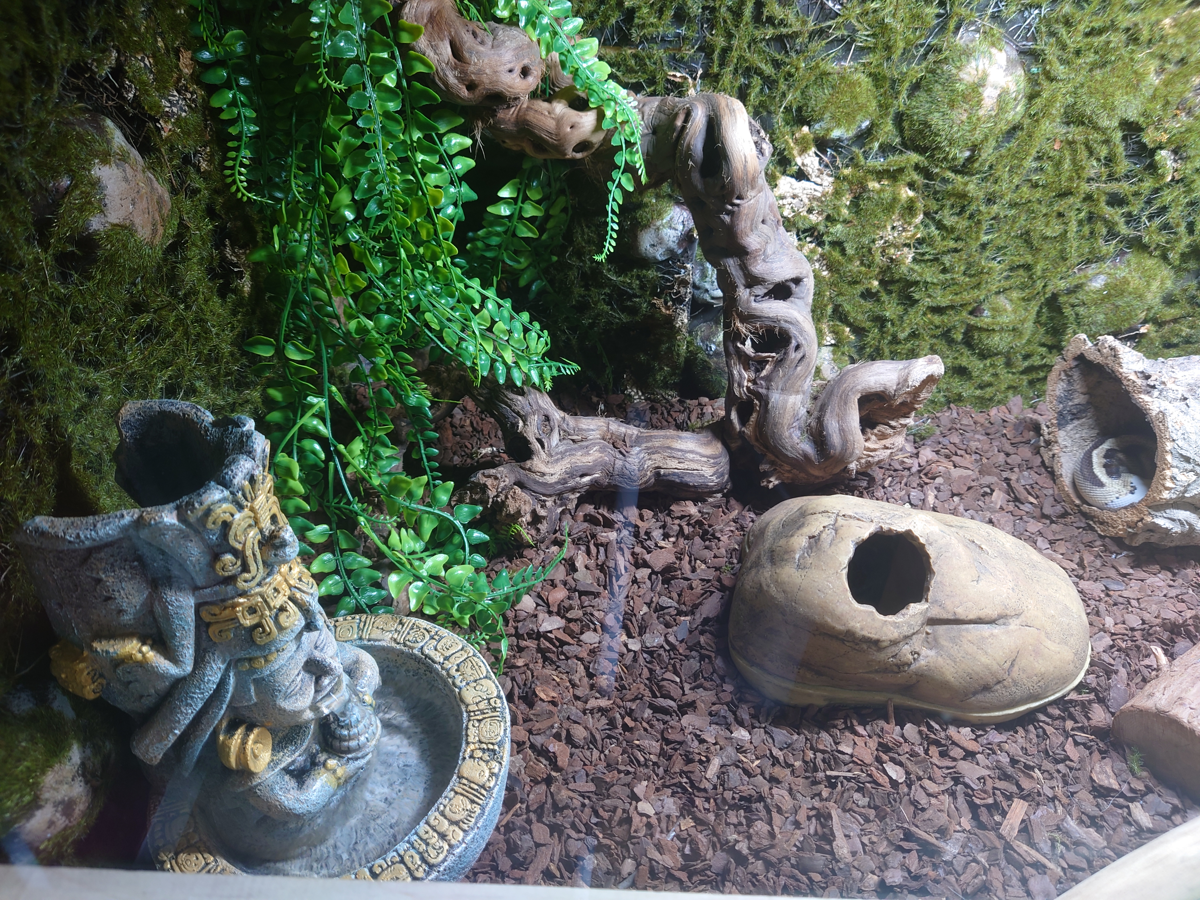 Repiterra Terrarium Rückwand Moos 116x58 cm 3D Hintergrund