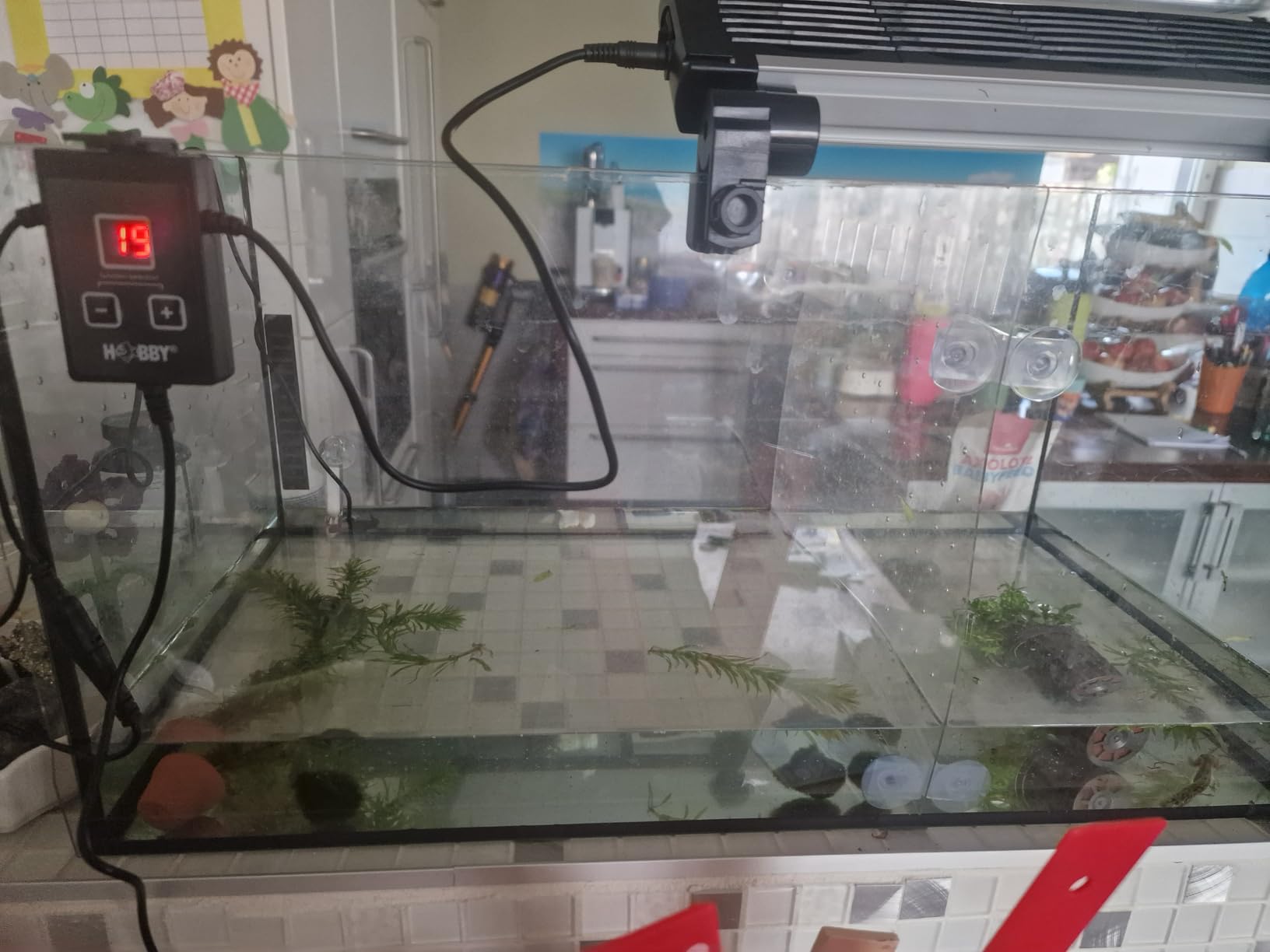 Hobby Aqua Cooler V4 Aquarienkühler 4 Ventilatoren bis 300L
