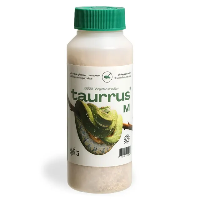 M&S Tauruss M Raubmilben 1-2 Tiere Milbenbekämpfung