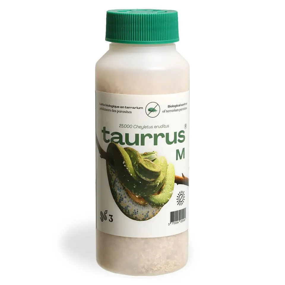 M&S Tauruss M Raubmilben 1-2 Tiere Milbenbekämpfung