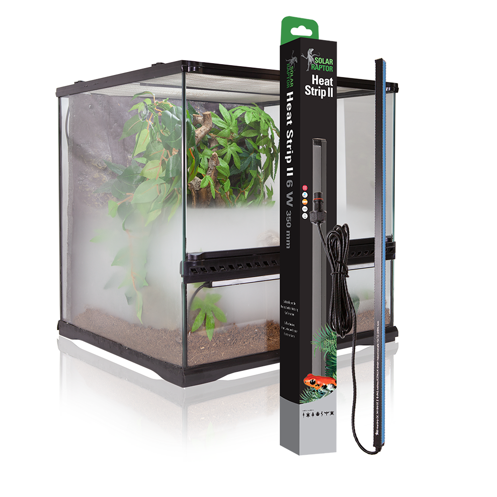 Econlux Solar Raptor HeatStrip II Terrarienheizung selbstklebend