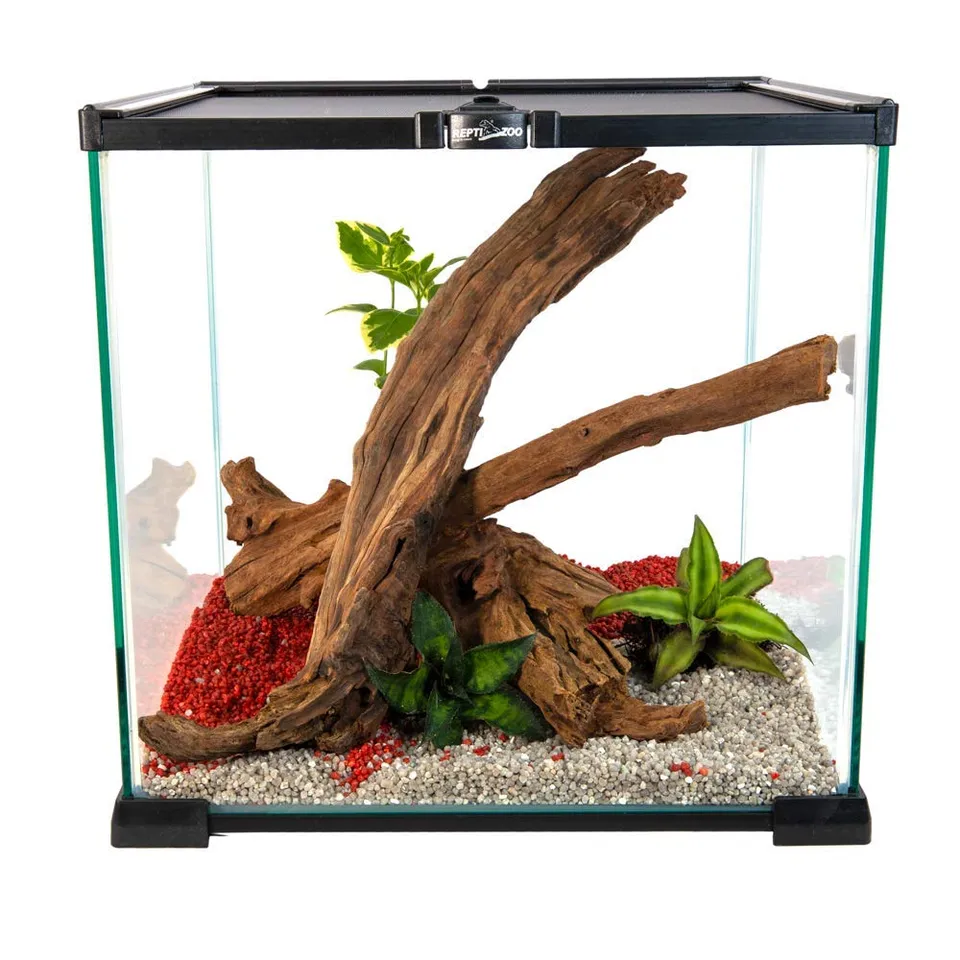 Repti Zoo Simple Habitat Terrarium 31x31x30 cm Futterloch