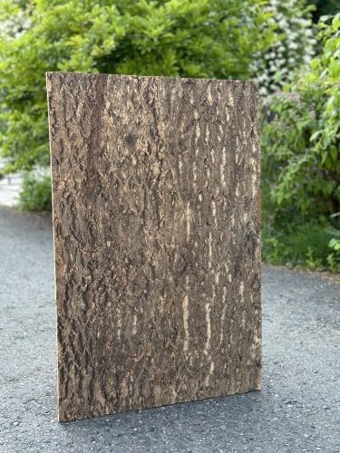 M&S Reptilien Nature Zierkorkrückwand 90x60x2 cm DPCT061