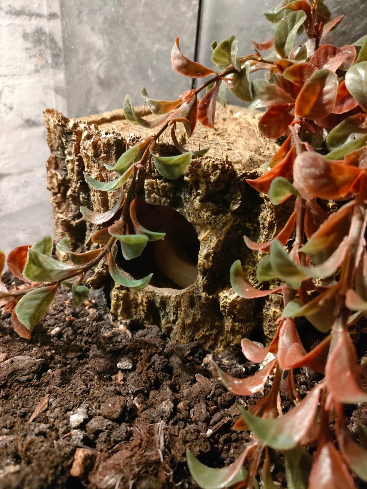 Hobby Bark I Eckhöhle Terrarium 21x15x11 cm naturnah
