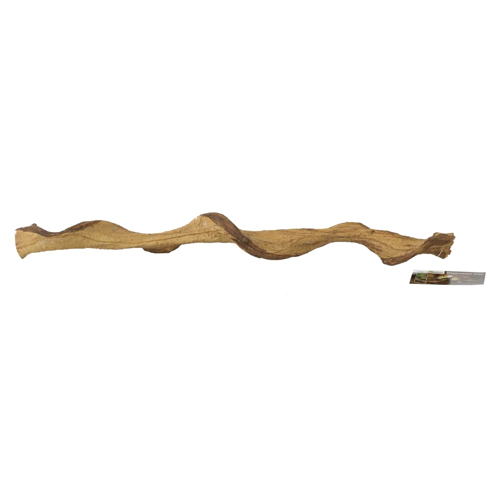 Repti Zoo Dschungel Liane RV0360 Kletterliane 60 cm biegsam