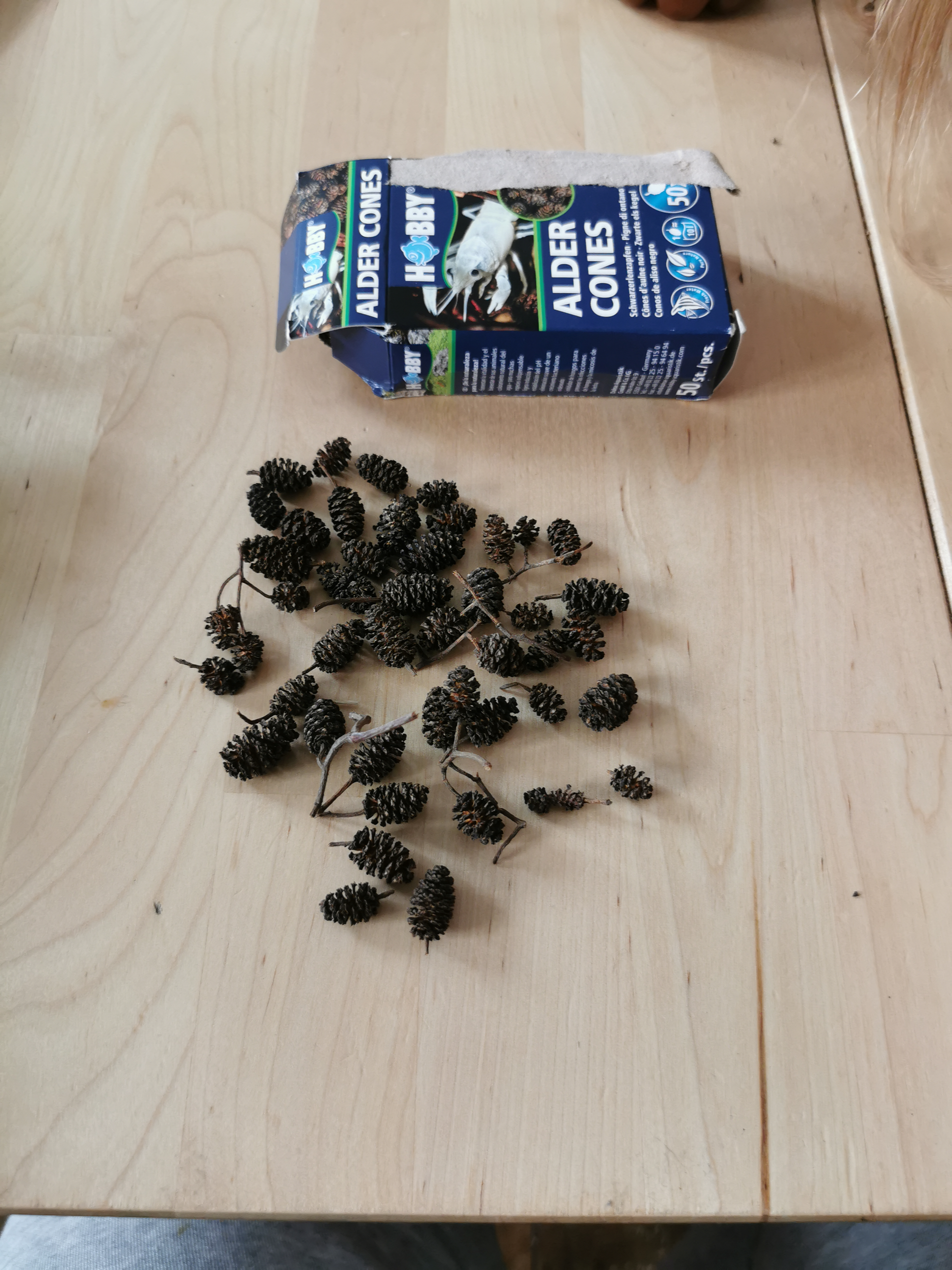 Hobby Alder Cones Erlenzapfen 50 Stück pH-senkend