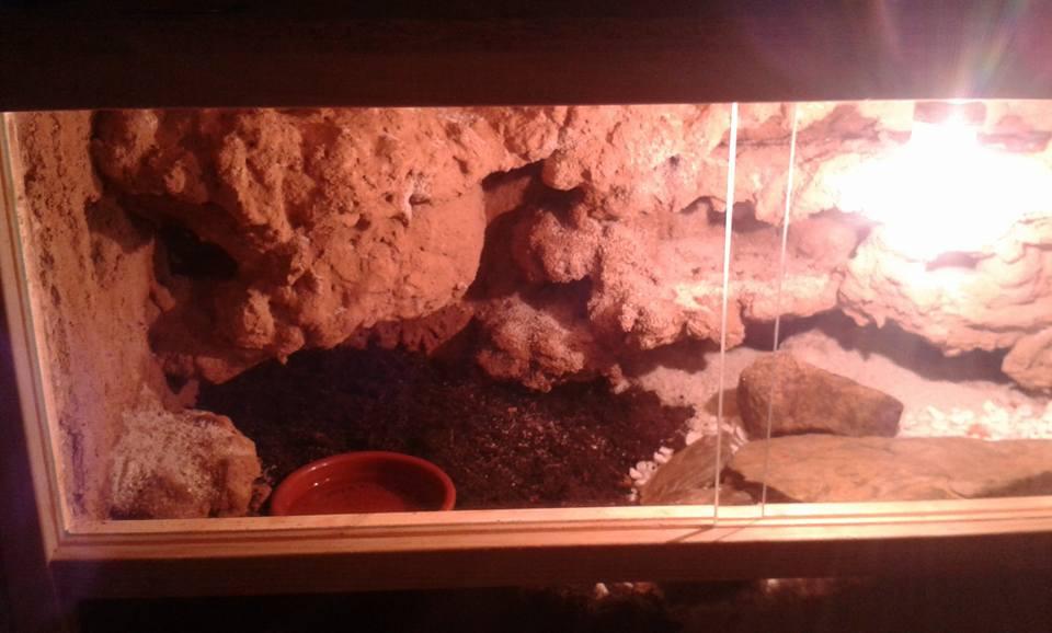 Repiterra Holzterrarium Seitenbelüftung 80x40x40 cm OSB