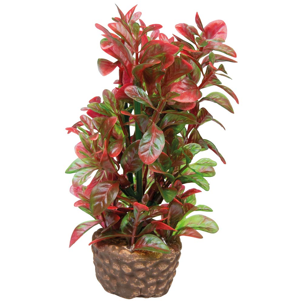 Hobby Flora Stone 6 Kunstpflanze 4x25 cm Keramikfuß