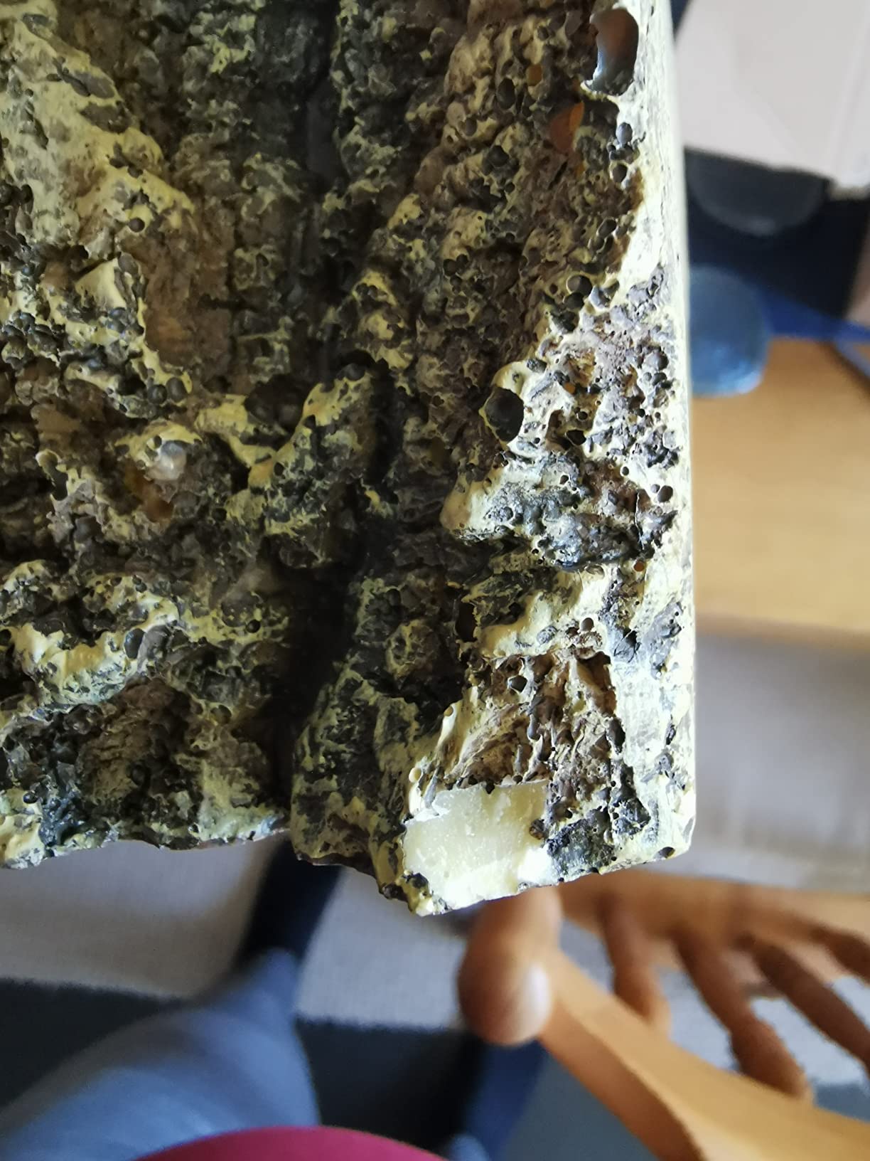 Hobby Bark I Eckhöhle Terrarium 21x15x11 cm naturnah