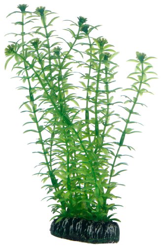 Hobby Lagarosiphon Kunstpflanze 60 cm wasserneutral