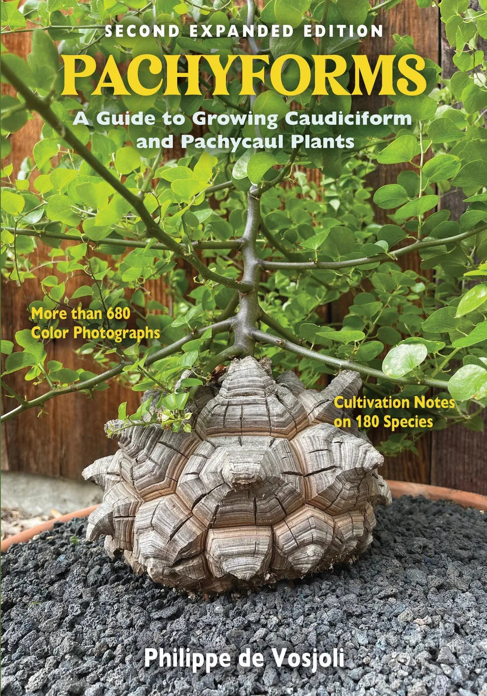 Repashy Pachyforms Second Edition Buch Sukkulenten