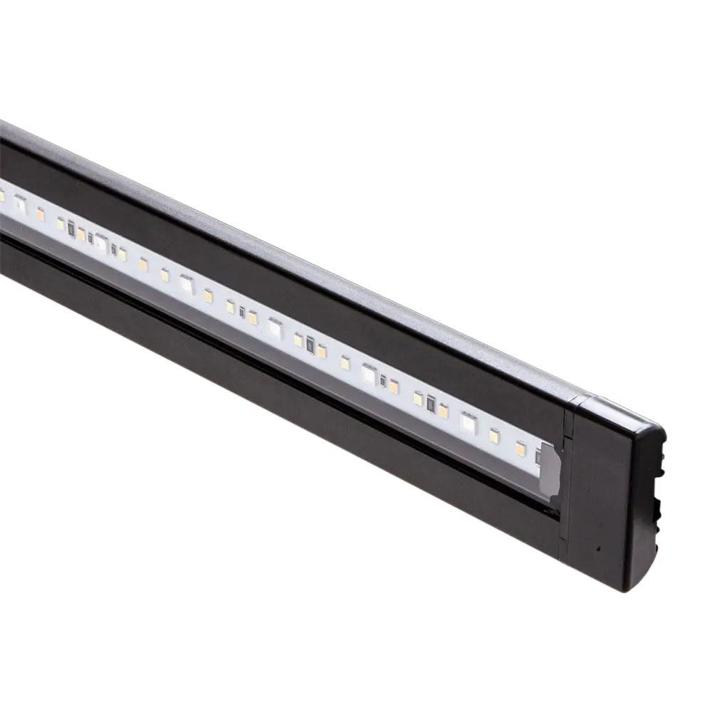 Econlux Solar Stinger SunStrip III 35 Fresh LED black Süßwasser