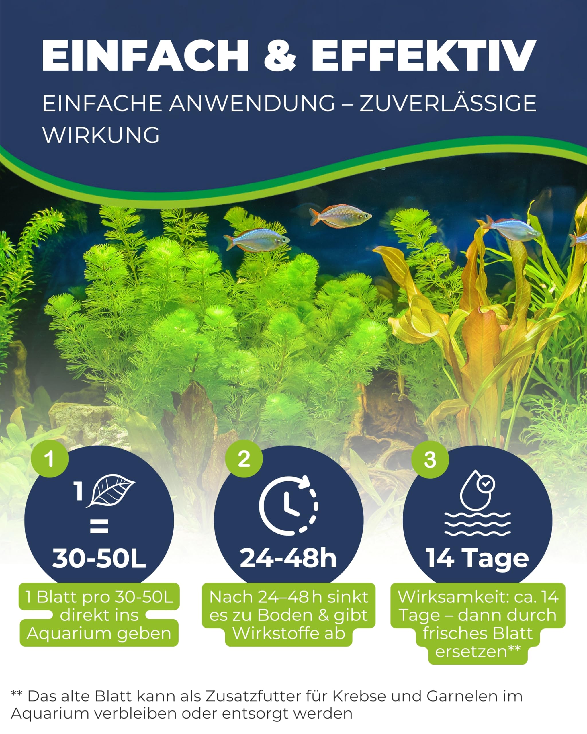 Hobby Nano Catappa Seemandelbaumblätter 12 Stück