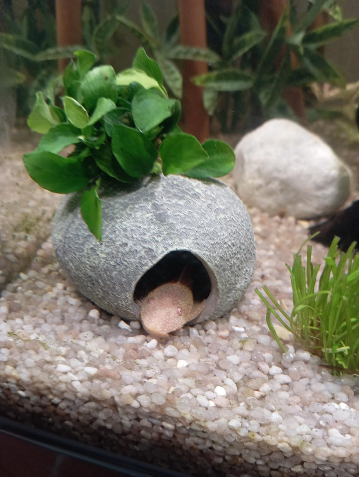 Hobby Marble Cave 3 Aquariumhöhle 7x6x5 cm