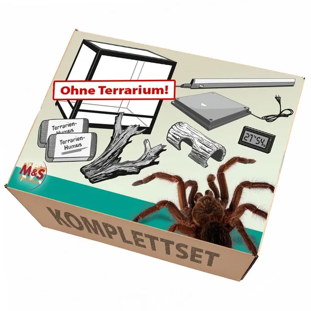 M&S Reptilien Vogelspinnen Komplettset ohne Terrarium 60x45x45cm