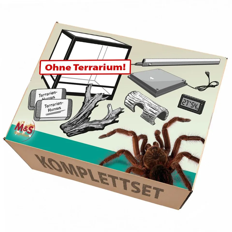 M&S Reptilien Vogelspinnen Komplettset ohne Terrarium 60x45x45cm