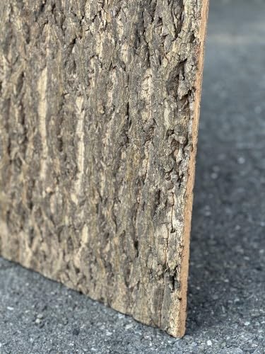 M&S Reptilien Nature Zierkorkrückwand 90x60x2 cm DPCT061