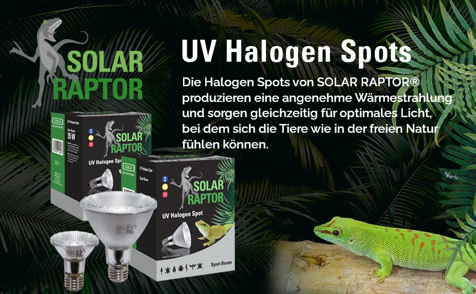 Econlux Solar Raptor UV Halogen Spot Terrarienlampe mit UV-A