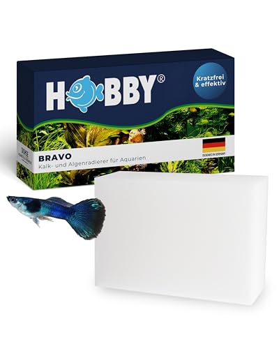 Hobby Bravo Algen-Radierer Scheibenreiniger Süßwasser