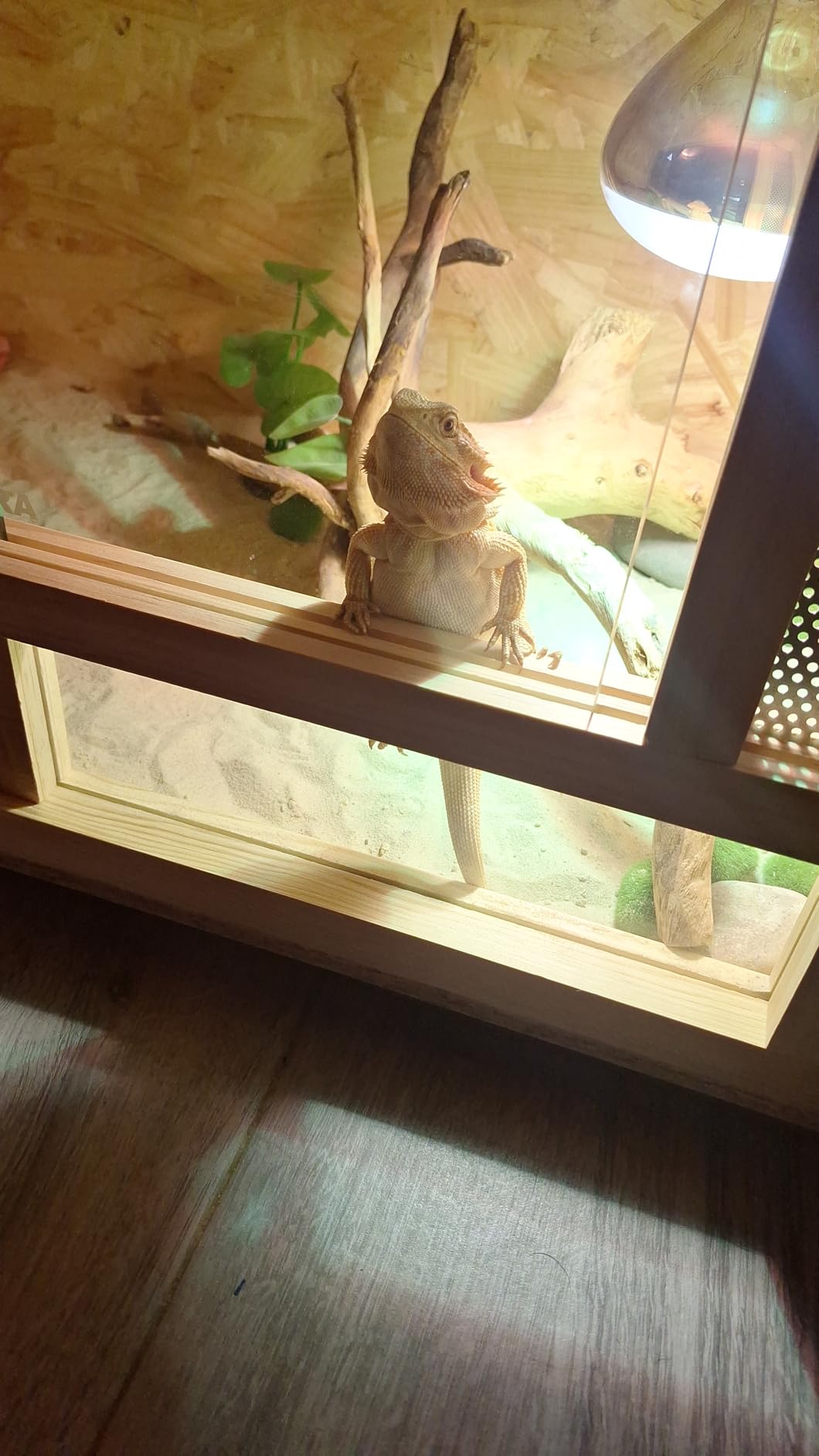 Repiterra Terrarium 80x50x50 cm Frontbelüftung Holzterrarium
