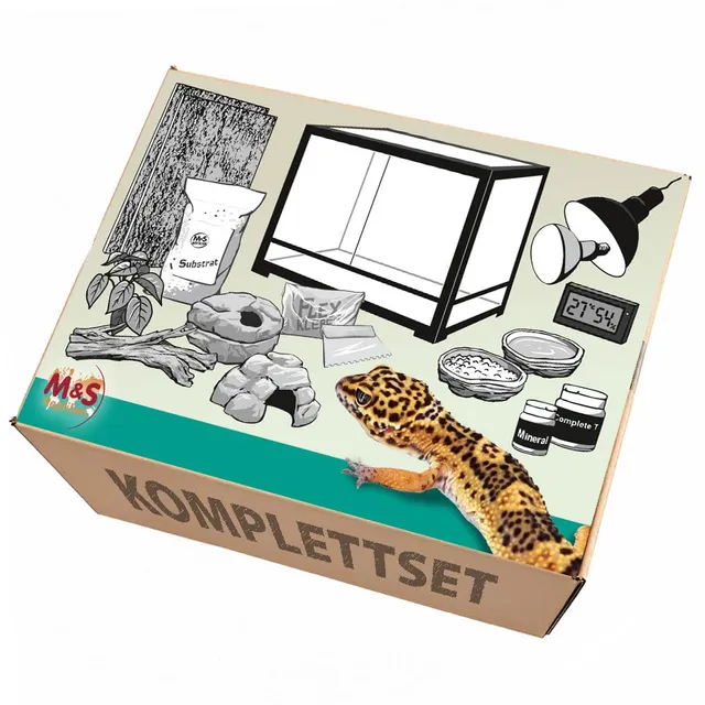 M&S Reptilien Leopardgecko Komplettset 91,5x46x46cm Glasterrarium