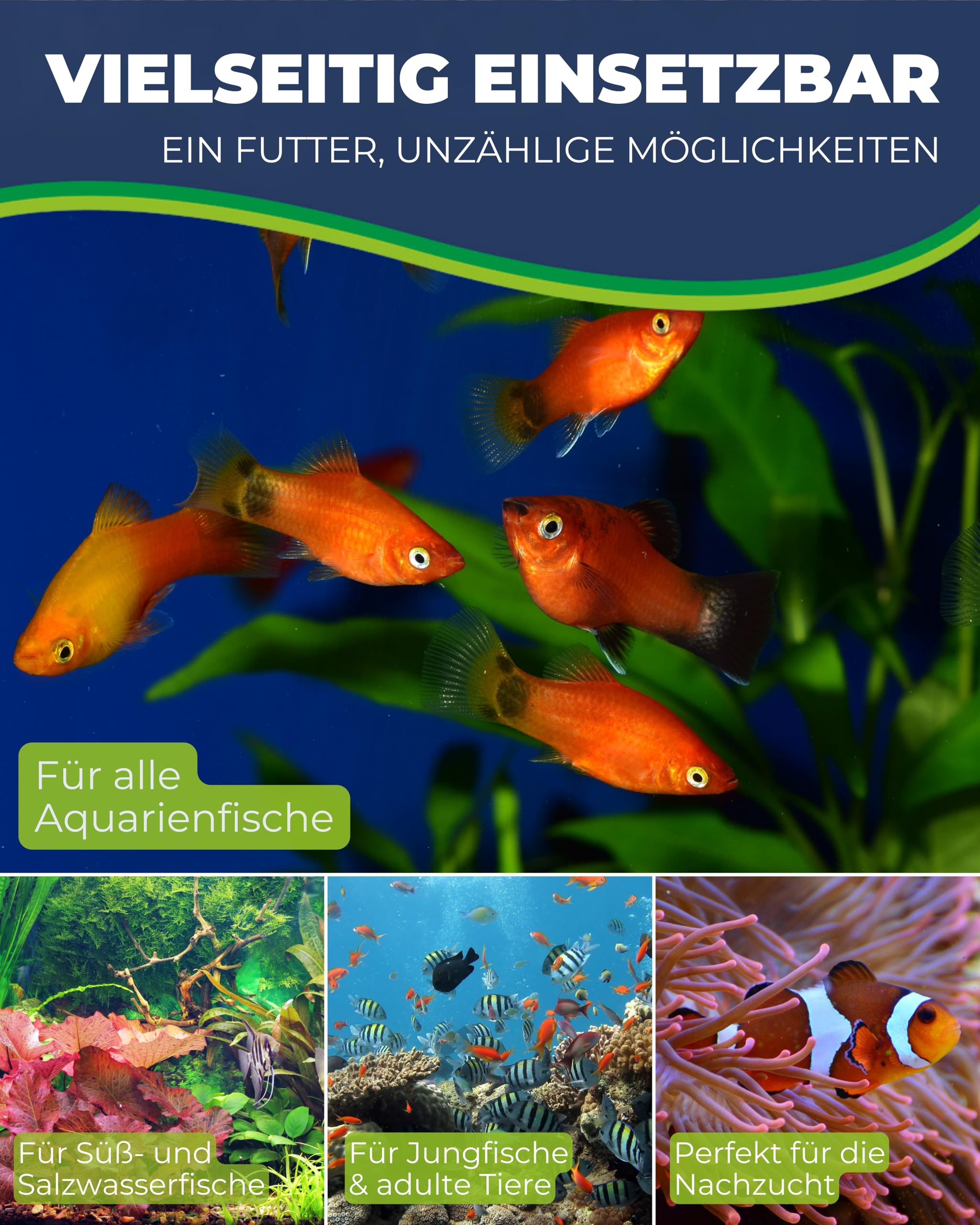 Hobby Artemia-Eier Aquarium 150 ml Aufzuchtfutter