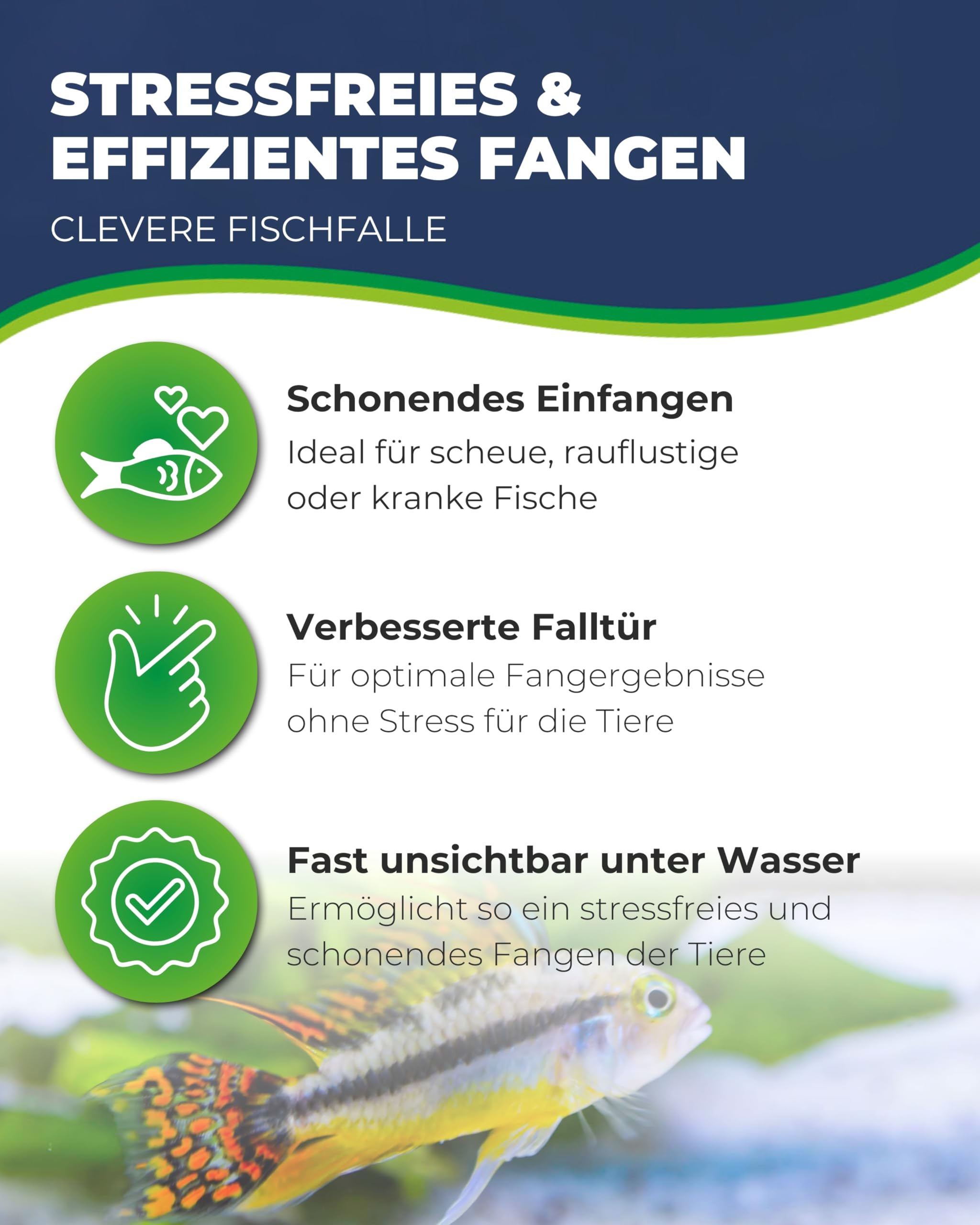 Hobby Genius Fischfalle Aquarium 21x13x15 cm transparent