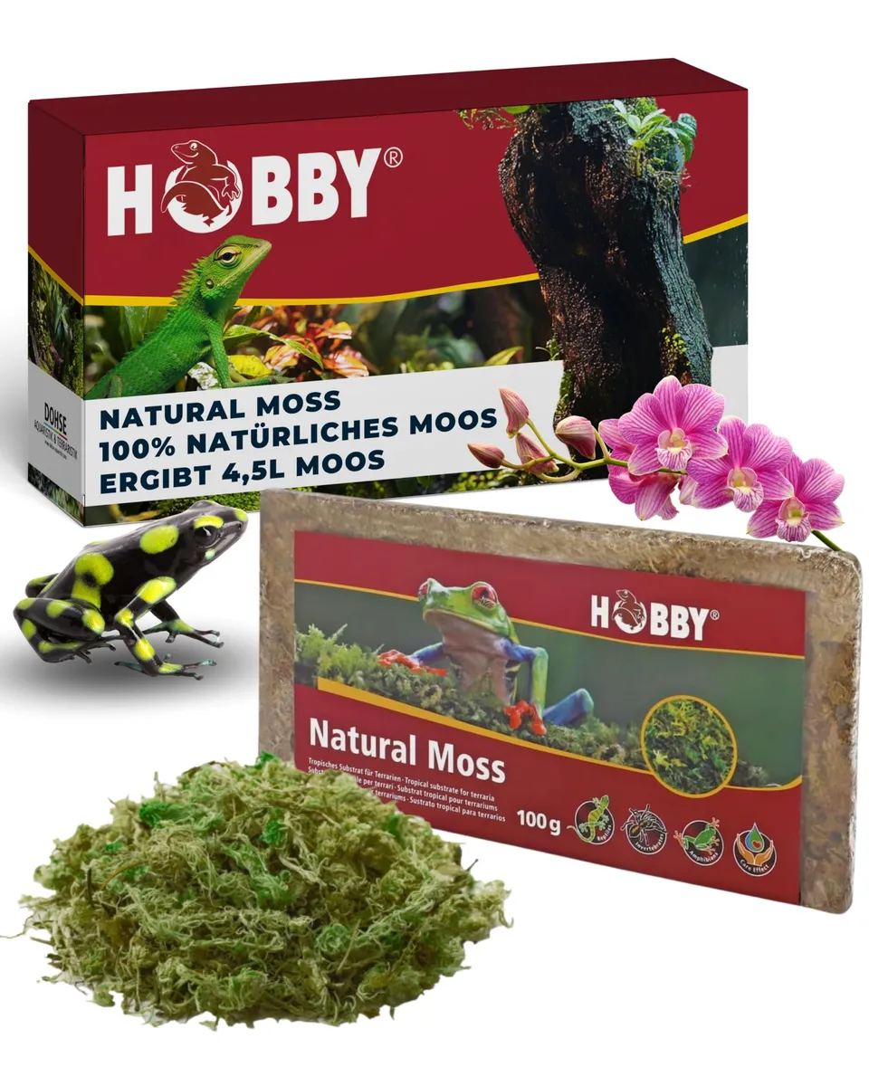 Hobby Natural Moss Terrarienmoos 100 g natürlich feuchtigkeitsbindend