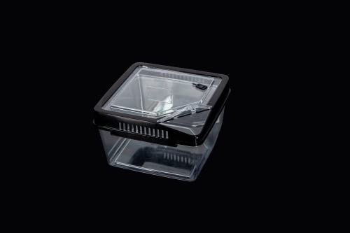ReptiZoo RT2019 Kunststoffbox 17,7x17,7x11 cm mit Klappe