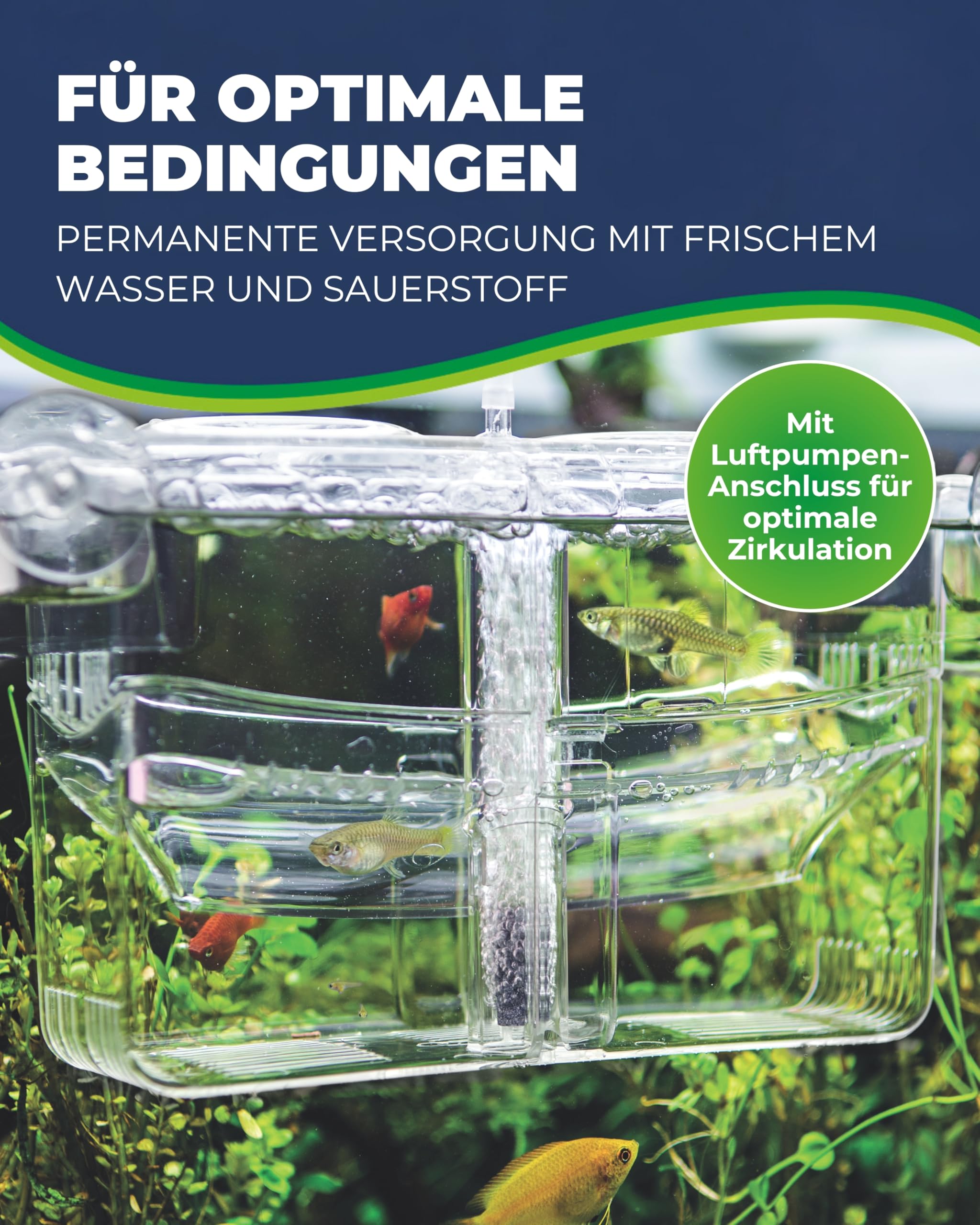 Hobby Nido 4 Ablaichbecken 13x10x11,5 cm Luft