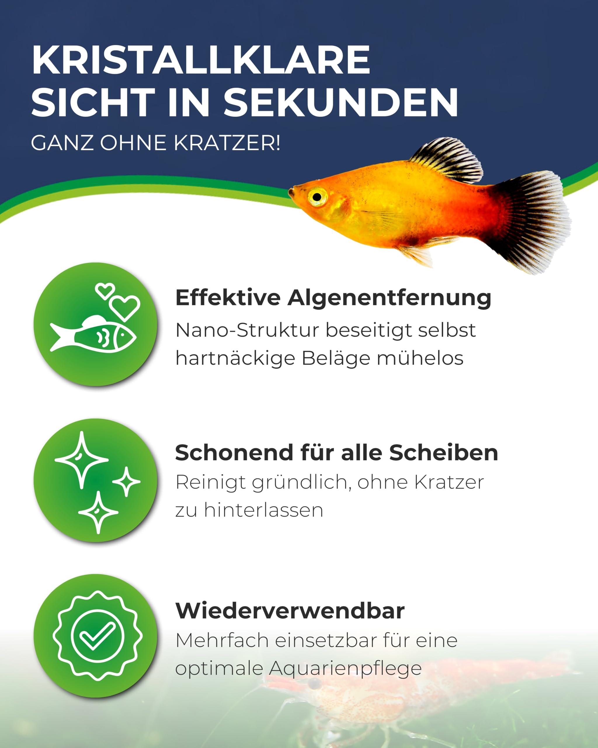 Hobby Bravo Algen-Radierer Scheibenreiniger Süßwasser