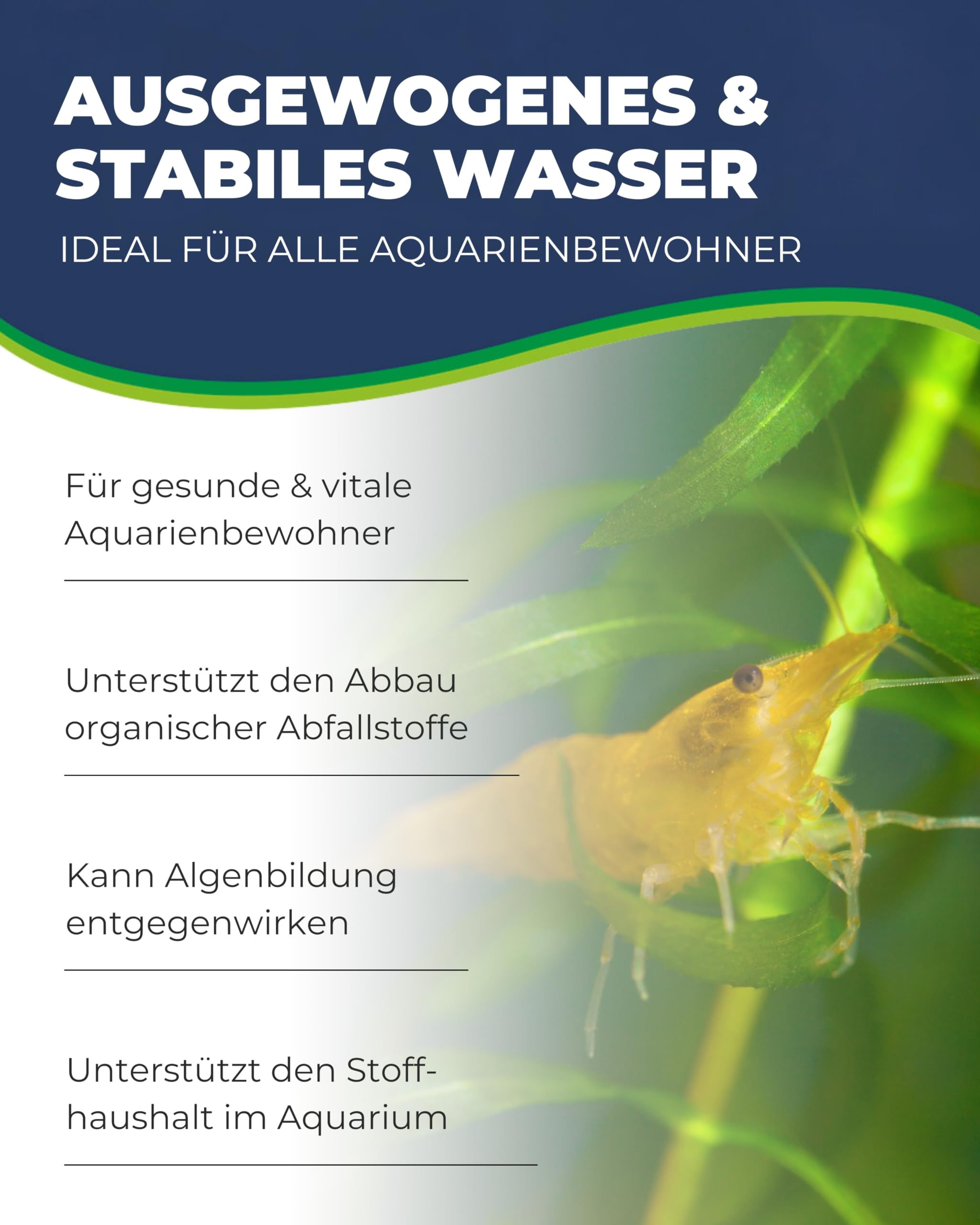 Hobby Oxyletten Sauerstoff-Tabletten 80 Stück Aquarium
