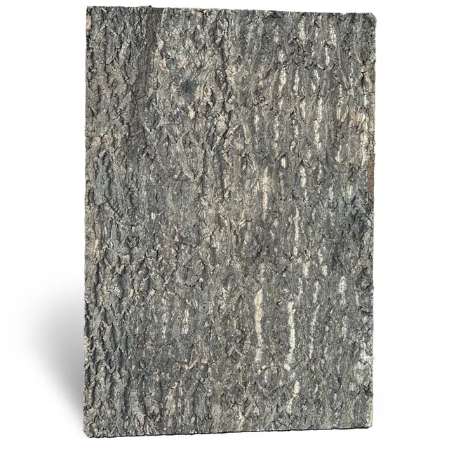 M&S Reptilien Nature Zierkorkrückwand 90x60x2 cm DPCT061