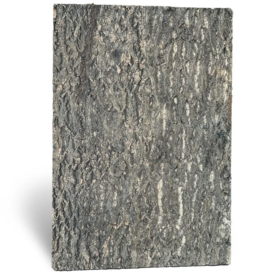 M&S Reptilien Nature Zierkorkrückwand 90x60x2 cm DPCT061