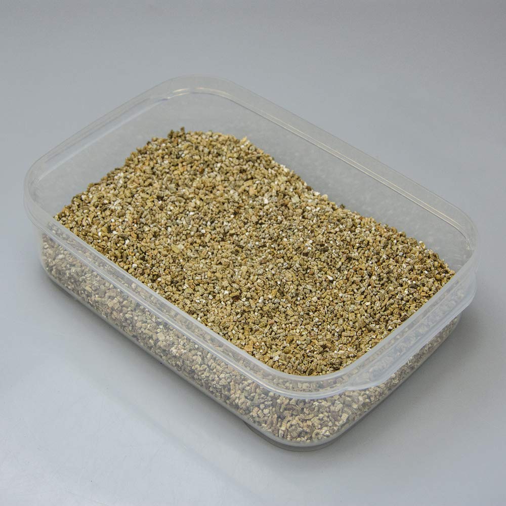 Hobby Easy Breeder Box Brutbox für 14 Eier