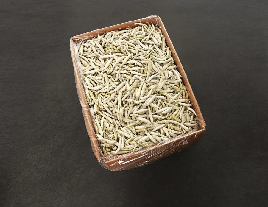Intipa Stinte lose Frostfisch Karton 12 kg