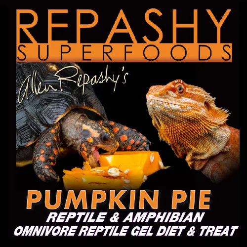 Repashy Pumpkin Pie 85g Gelfutter Kürbis Omnivore