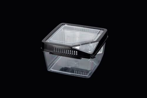 ReptiZoo RT2019 Kunststoffbox 17,7x17,7x11 cm mit Klappe
