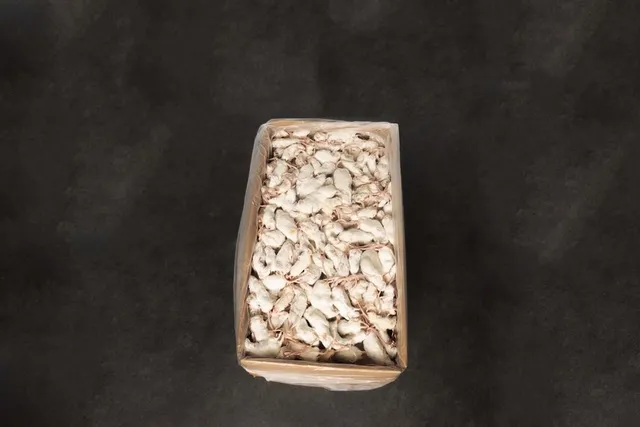 intipa Mäuse weiß Frostfutter unsortiert 15 kg für Reptilien