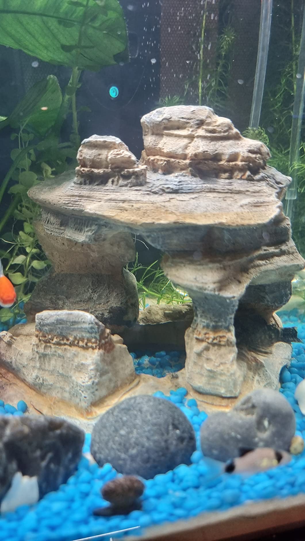 Hobby Amman Rock 2 Deko-Stein 30x17x11 cm naturgetreu