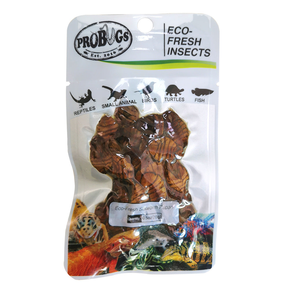 Repashy ProBugs Silkworm Pupae Futterinsekten 15g proteinreich