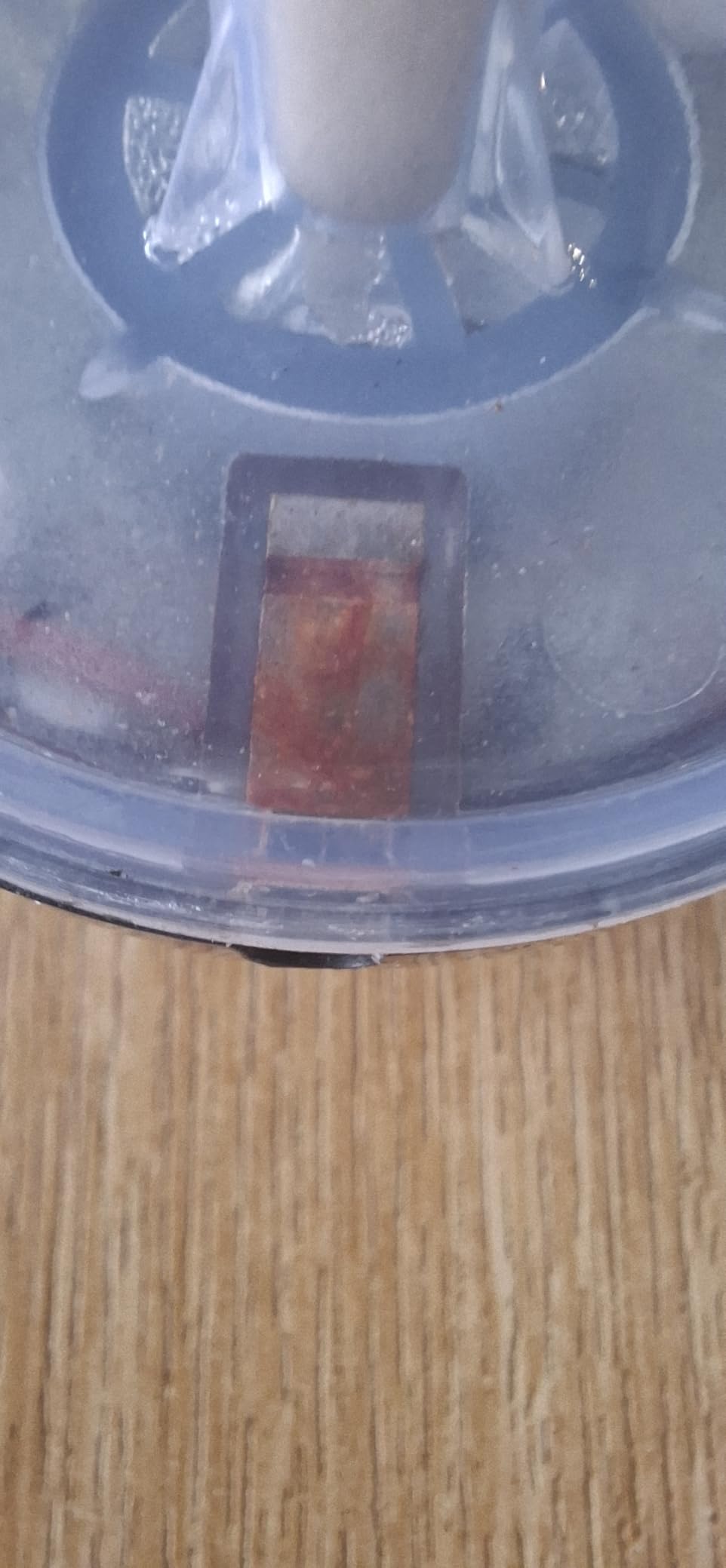 Hobby Foggy I Ultraschall-Nebler 50 ml für Terrarium